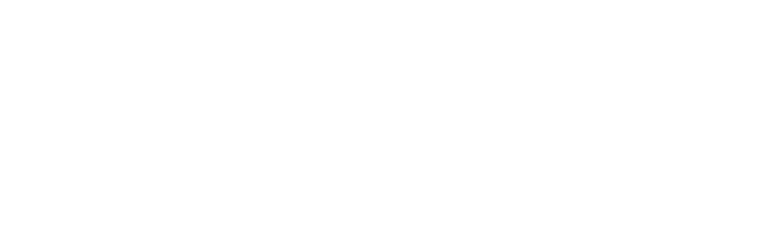 Company - PNG - weiß